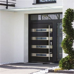 Stainless Steel Entrance Door