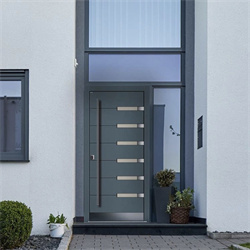 Stainless Steel Entrance Door